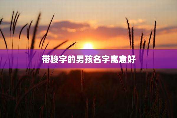 带骏字的男孩名字寓意好