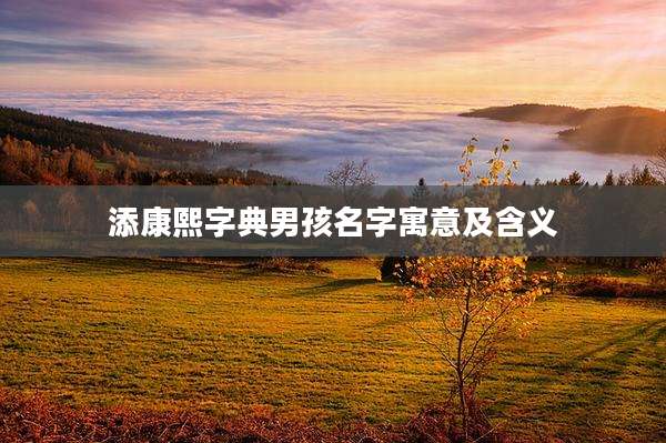 添康熙字典男孩名字寓意及含义