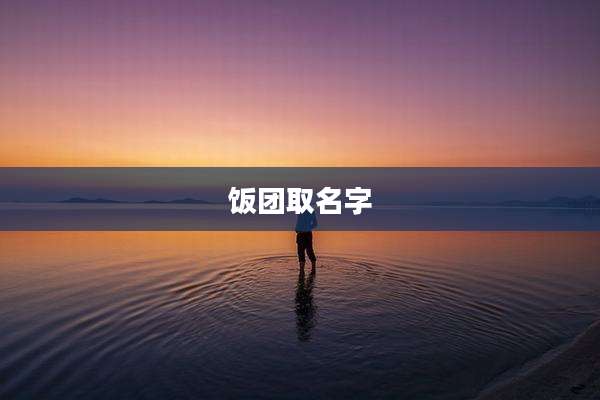 饭团取名字