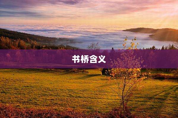书桥含义