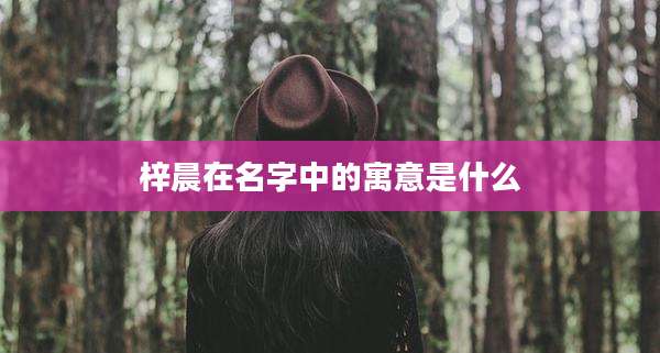 梓晨在名字中的寓意是什么