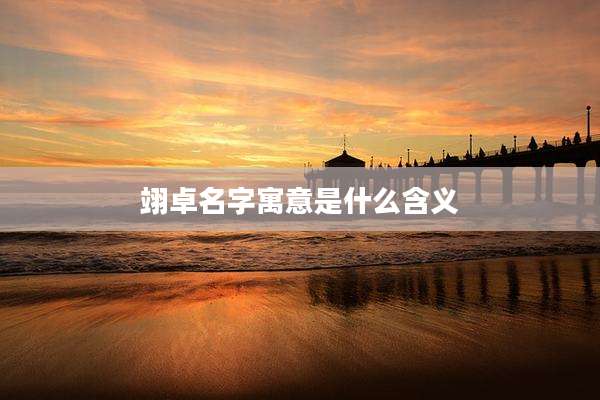 翊卓名字寓意是什么含义