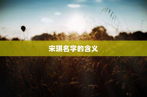 宋琪名字的含义