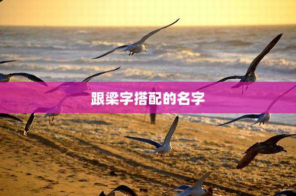 跟梁字搭配的名字