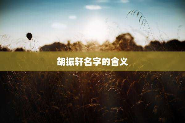 胡振轩名字的含义