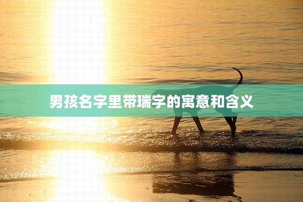 男孩名字里带瑞字的寓意和含义