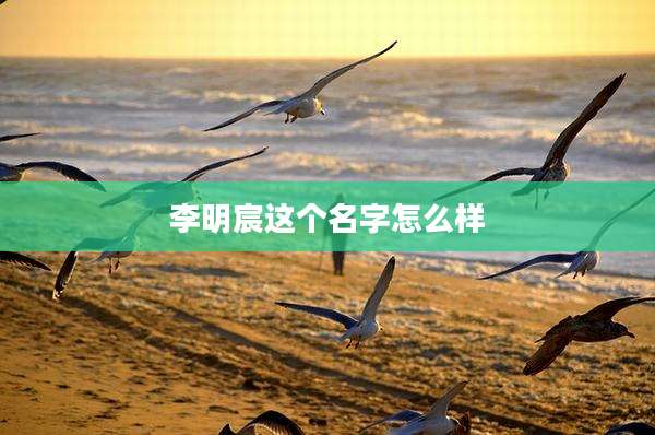 李明宸这个名字怎么样