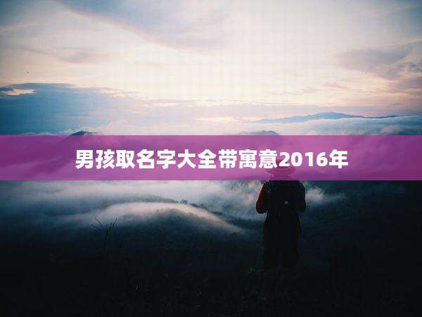 男孩取名字大全带寓意2016年