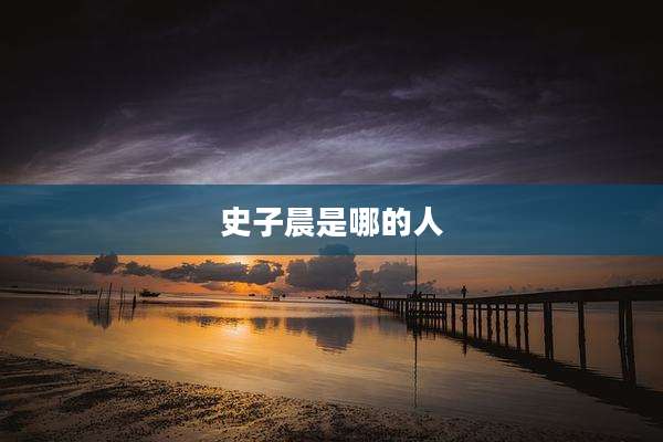 史子晨是哪的人