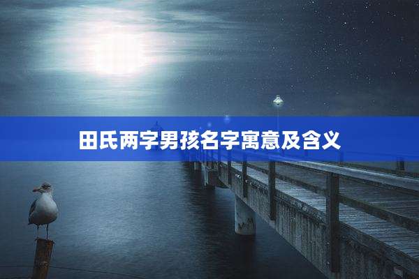 田氏两字男孩名字寓意及含义