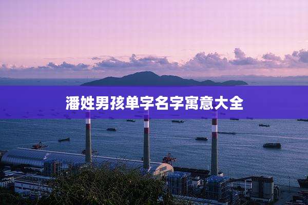 潘姓男孩单字名字寓意大全