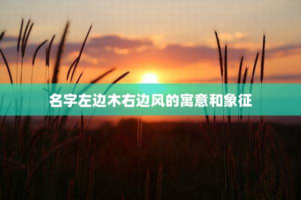 名字左边木右边风的寓意和象征