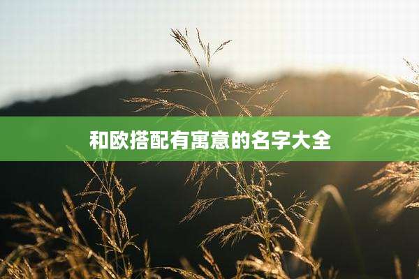 和欧搭配有寓意的名字大全