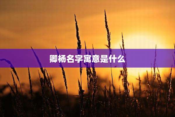 卿杨名字寓意是什么