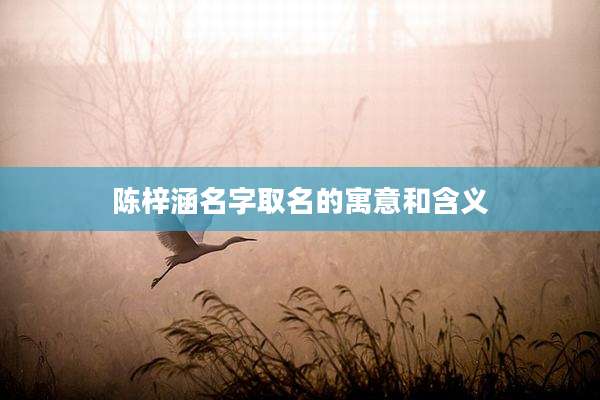 陈梓涵名字取名的寓意和含义