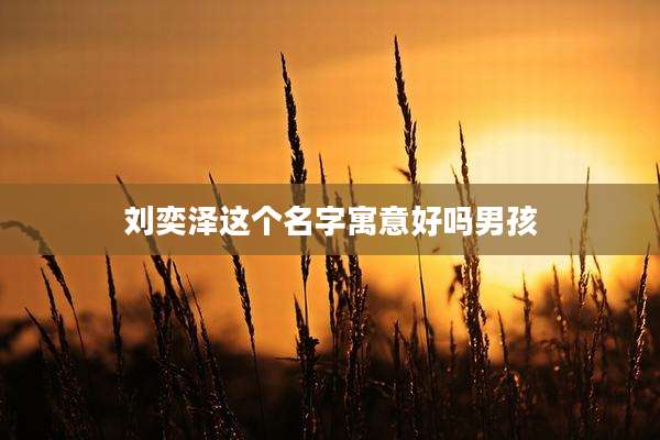 刘奕泽这个名字寓意好吗男孩