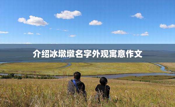 介绍冰墩墩名字外观寓意作文