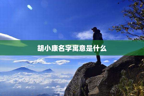 胡小康名字寓意是什么
