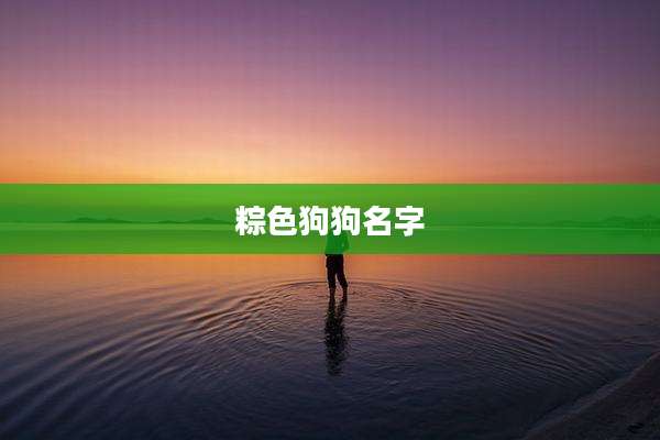 粽色狗狗名字