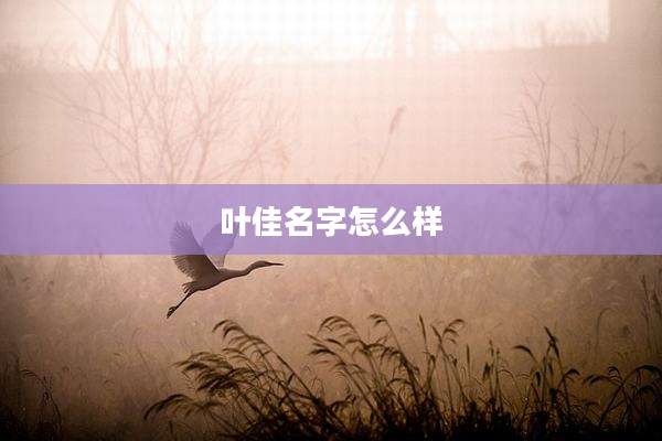 叶佳名字怎么样