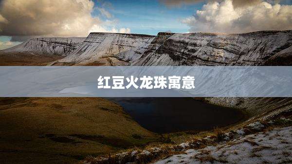 红豆火龙珠寓意