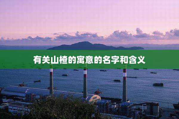 有关山楂的寓意的名字和含义