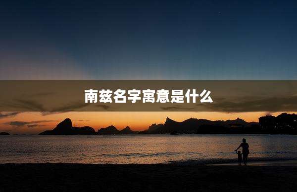 南兹名字寓意是什么