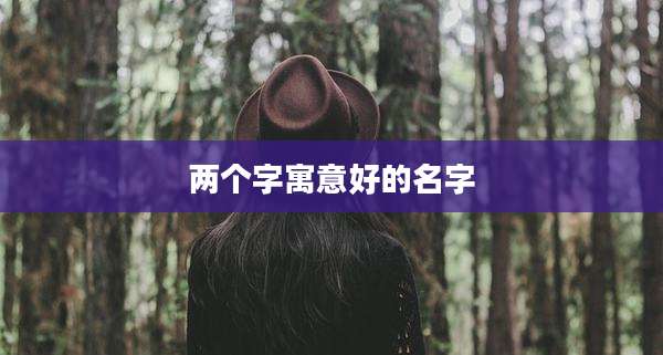 两个字寓意好的名字