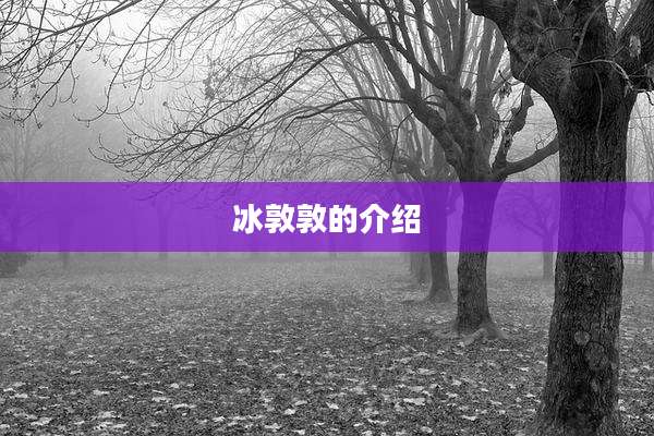 冰敦敦的介绍