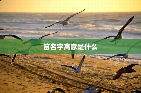 笛名字寓意是什么