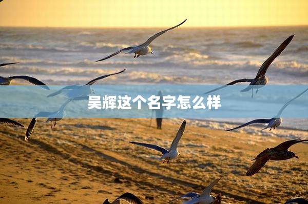 吴辉这个名字怎么样