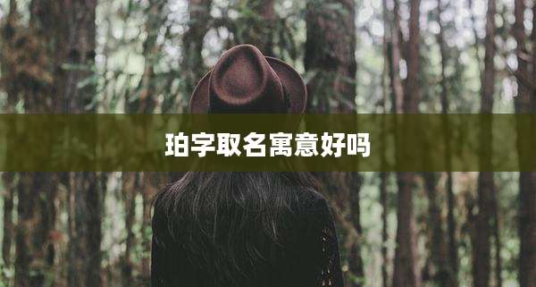 珀字取名寓意好吗