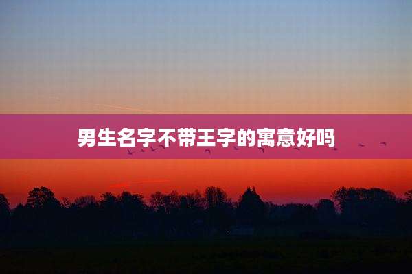 男生名字不带王字的寓意好吗
