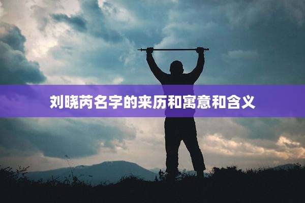 刘晓芮名字的来历和寓意和含义