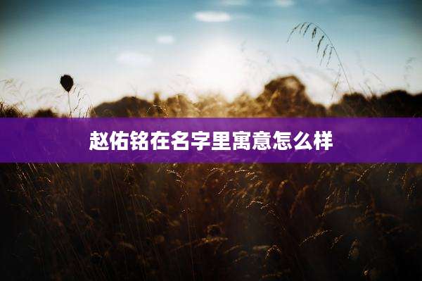 赵佑铭在名字里寓意怎么样