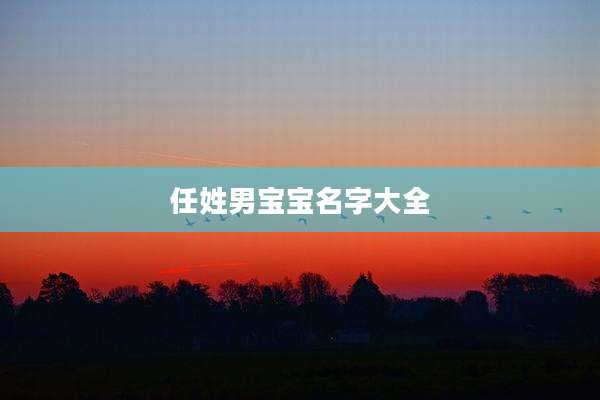 任姓男宝宝名字大全