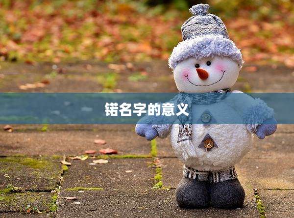 锘名字的意义