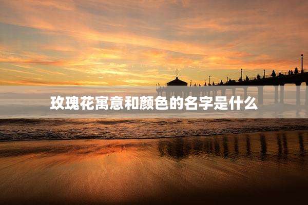 玫瑰花寓意和颜色的名字是什么