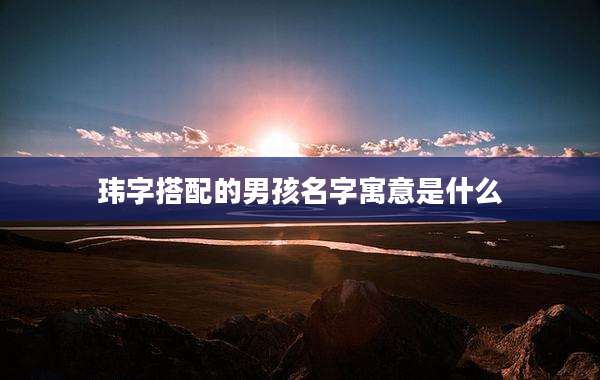 玮字搭配的男孩名字寓意是什么