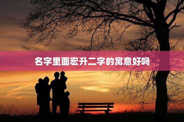 名字里面宏升二字的寓意好吗