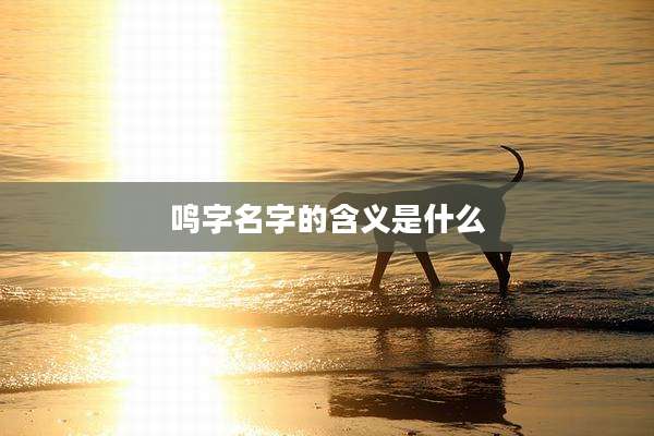 鸣字名字的含义是什么