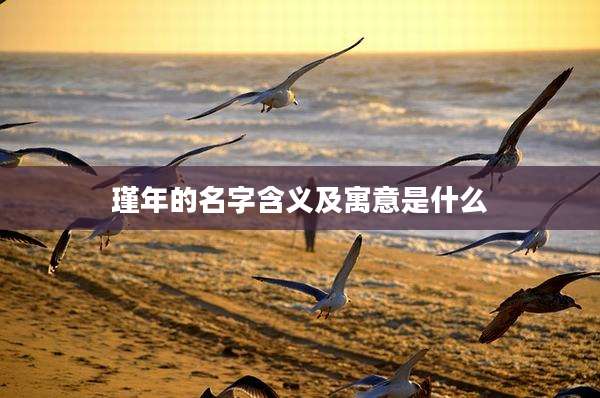 瑾年的名字含义及寓意是什么