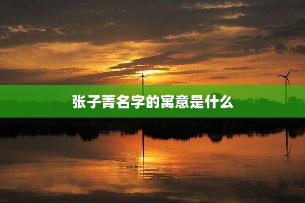 张子菁名字的寓意是什么