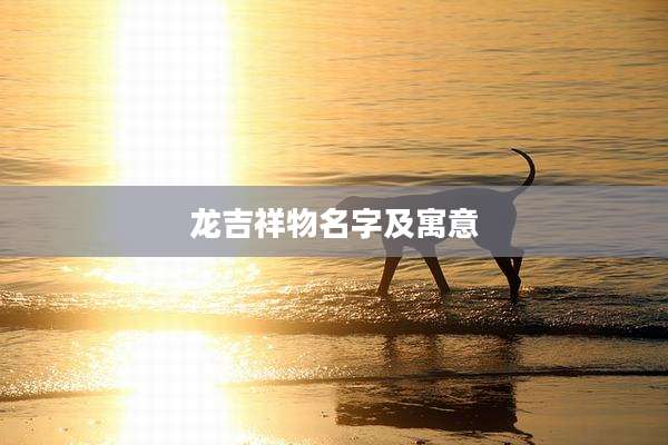 龙吉祥物名字及寓意