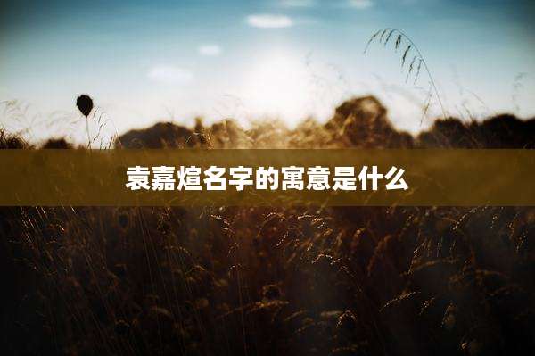 袁嘉煊名字的寓意是什么