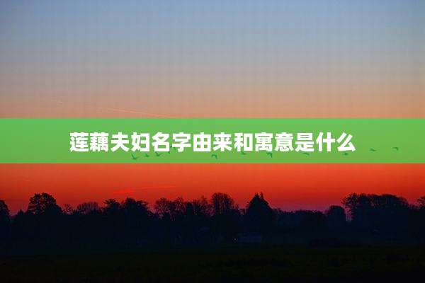 莲藕夫妇名字由来和寓意是什么