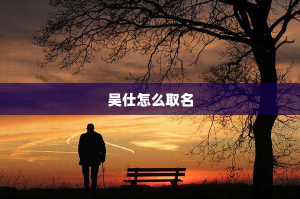 吴仕怎么取名