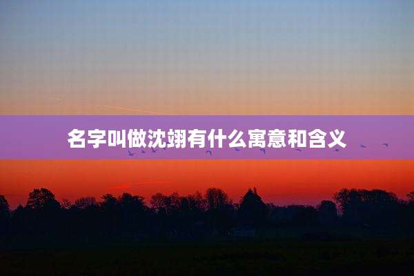 名字叫做沈翊有什么寓意和含义