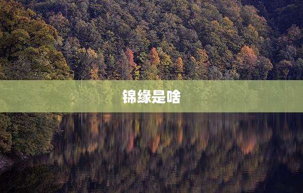 锦缘是啥