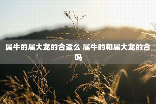 属牛的属大龙的合适么 属牛的和属大龙的合吗